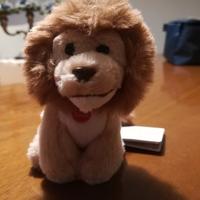 Due peluche Trudi