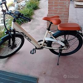 bici elettrica 