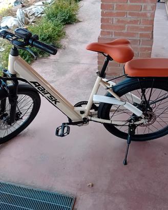 bici elettrica 