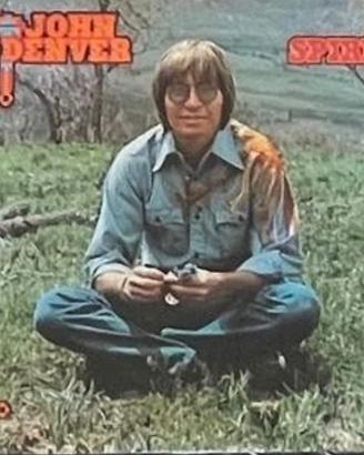 lotto vinili 33 giri lp disco album rock pop blues