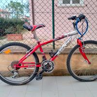 Bicicletta Egam MTB 24''