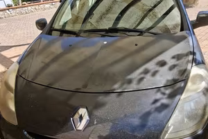 clio nera