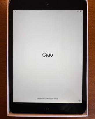 iPad mini 2