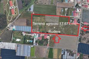 Terreno agricolo 17.673mq con annesso RUDERE