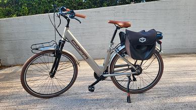 Bici elettrica 