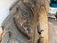Immagine 6