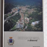 Borgosesia e dintorni di Giorgio Gnemmi - 2001