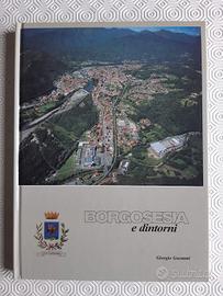 Borgosesia e dintorni di Giorgio Gnemmi - 2001