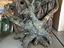 Immagine 2