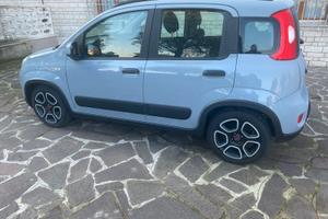 Fiat Panda hybrid benzina omologata 5 posti