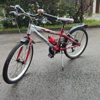 Mountain bike bambino 20"