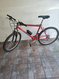 Bicicletta Mountain bike