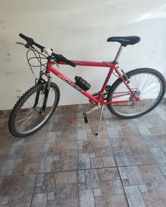 Bicicletta Mountain bike
