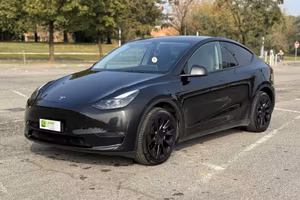 TESLA Model Y longe
