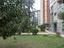 Immagine 20