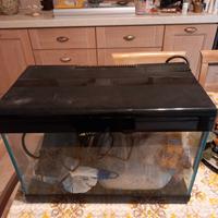 acquario 20 litri