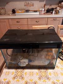 acquario 20 litri