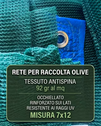 rete per olive 7x12