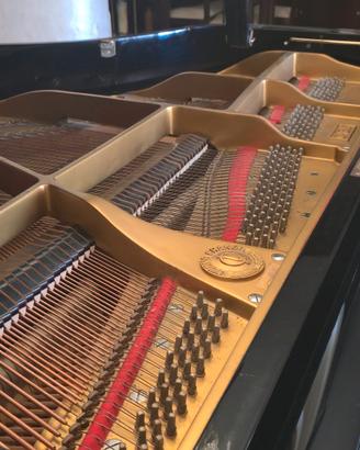 Pianoforte a meza coda