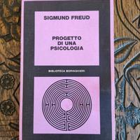 FREUD PROGETTO DI UNA PSICOLOGIA L’INTERESSE PER