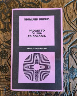 FREUD PROGETTO DI UNA PSICOLOGIA L’INTERESSE PER