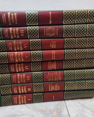 Enciclopedia Generale Illustrata Rizzoli Larousse