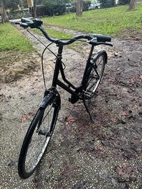 bici da città 