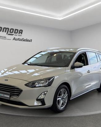 FORD Focus 1.5 120 CV SW Autocarro N1