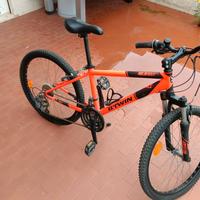 bicicletta 