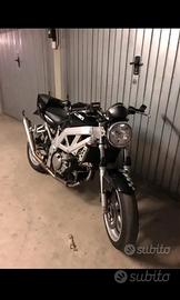 !SUZUKI SV 650!