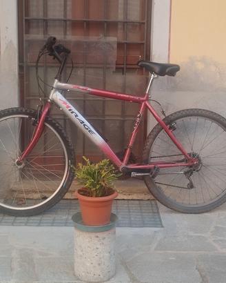 MTB bici uomo 26