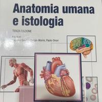 anatomia e istologia