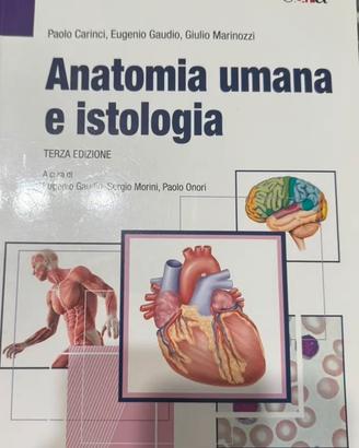 anatomia e istologia