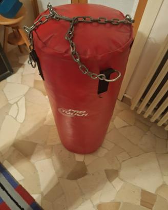 Sacco box Pro Touch