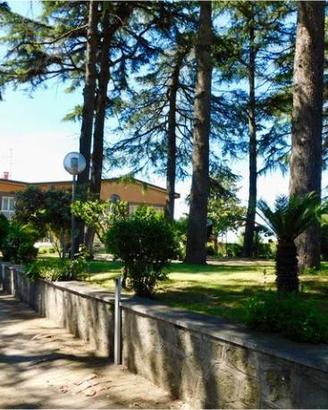 Villa di 385 m² con più di 5 locali a Grottaferrat