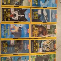 VHS Da collezione 