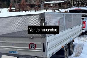 Rimorchio swartz due assi