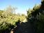 Immagine 25