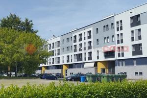 Negozio Binasco [Cod. rif 3163696VCG]