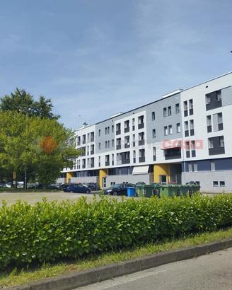 Negozio Binasco [Cod. rif 3163696VCG]