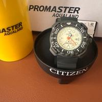 Citizen aqualand super titanio
