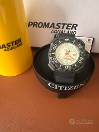 Citizen aqualand super titanio