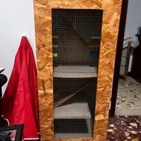casetta per roditori