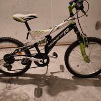 bicicletta bambino ruote 20 pollici