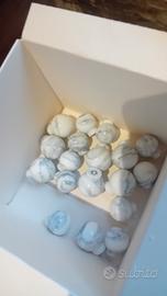 Pomello Marmo Bianco -piccolo 