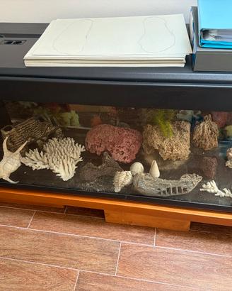 Acquario sia marino che acqua dolce