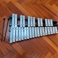 Glockenspiel xilofono a 30 note Sasuori