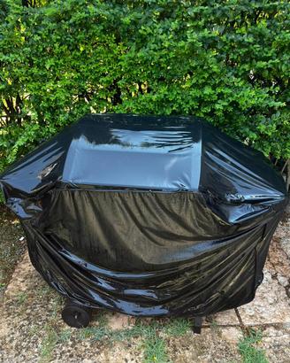 Barbecue a gas Campingaz 2 series classic EXS