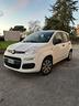 fiat-panda-no