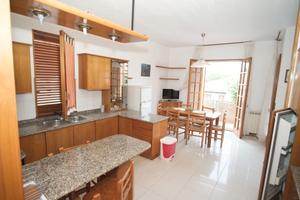 C.d'Orlando, casa vacanze, si animali